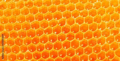 Honeycomb Pattern. Honey texture as a background, wallpaper.