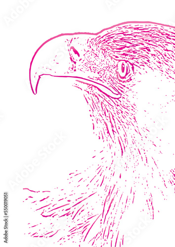 illustration of a bird .Eagle illustration Image .Eagle Vectors & Illustrations .Eagle Vector Art