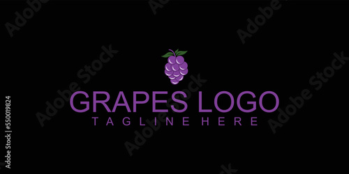 Simple grapes logo design with minimalis concept premium vector