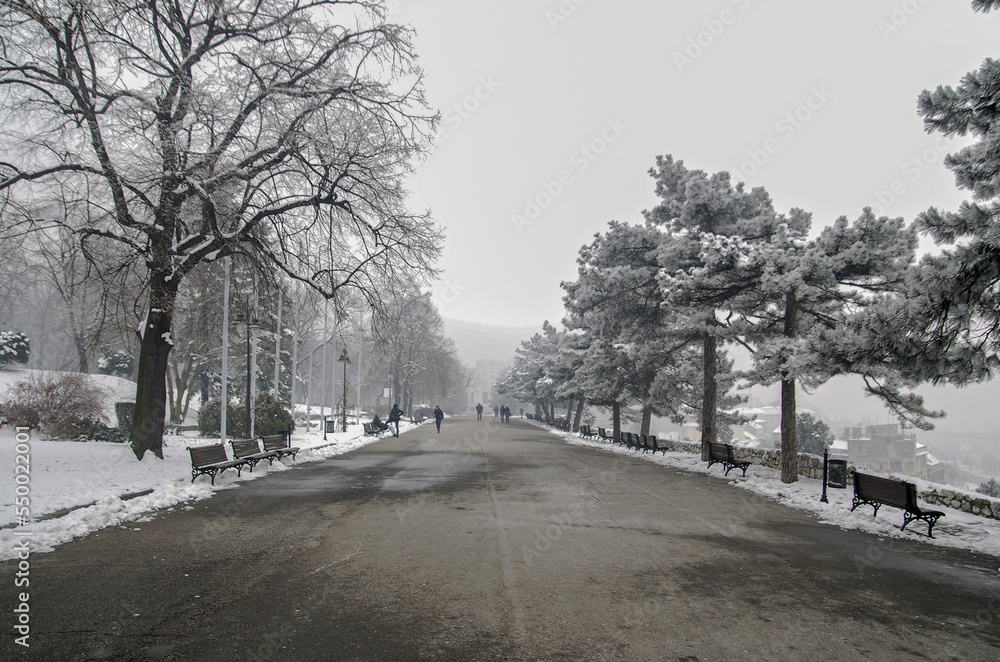 Winter scene at the park in Belgrade. Winter scene at the park in Belgrade.