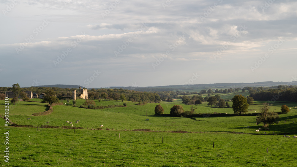 Fototapeta premium Wonderful landscape photography in France. landscape photo in Burgundy. landscape photo in the Nievre. Meadow with Church with sun. 58 in France