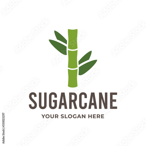 Sugarcane natural organic sugar product farm isolated icon sweetener production factory and export business plantation growing agriculture food additive or condiment cultivation emblem or logo