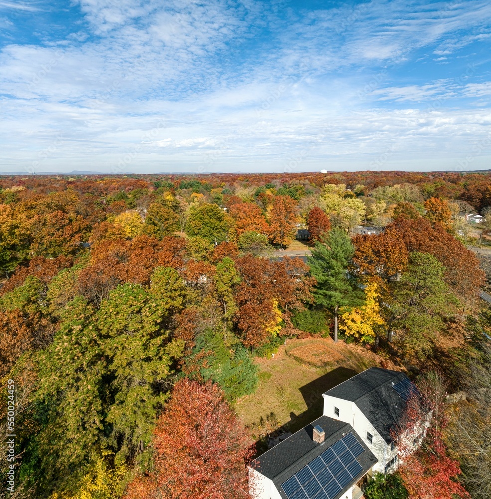 Naklejka premium Cloudy blue sky over suburban foliage scene in Longmeadow Massachusetts