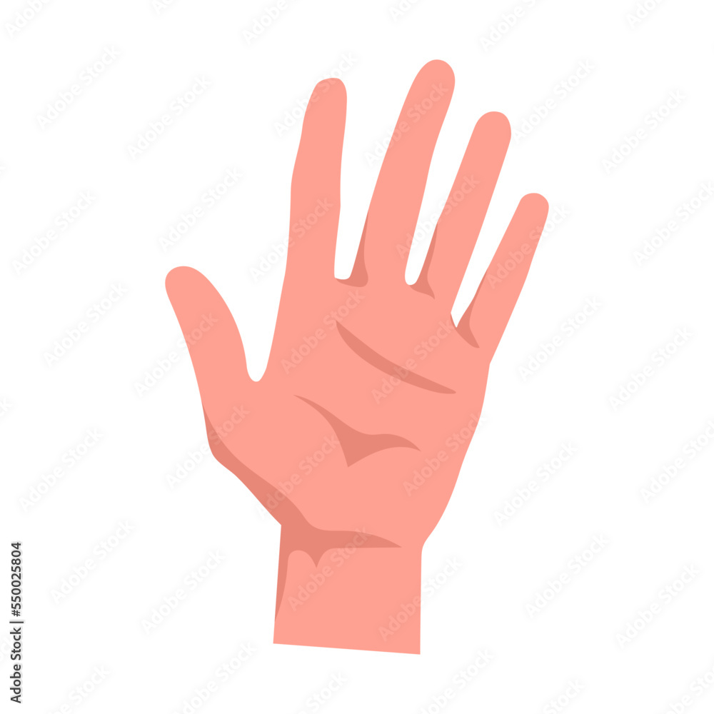 Welcome gesture with open palm. Hand gestures cartoon vector illustration. Human palm with finger, showing numbers, direction, symbol and sign Welcome gesture with open palm. Hand gestures cartoon vector illustration. Human palm with finger, showing numbers, direction, symbol and sign