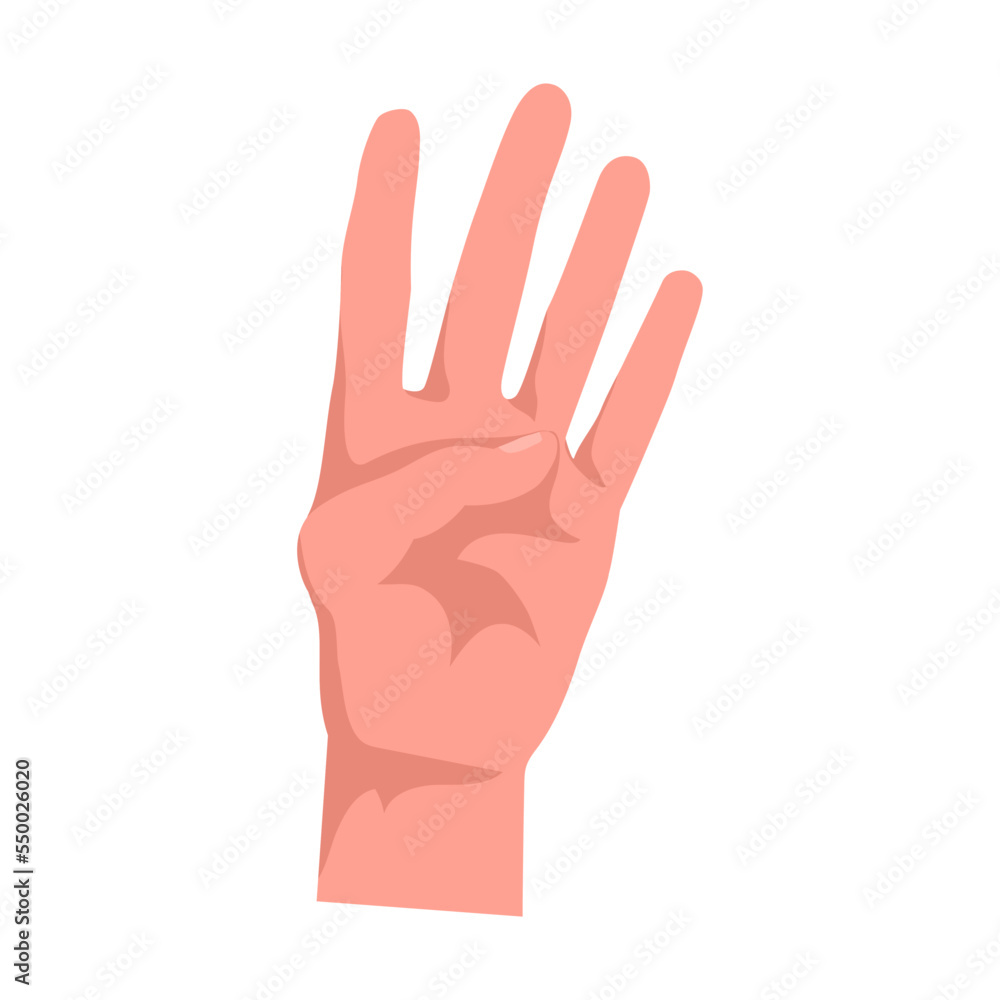 Hand showing 4 fingers, number four. Hand gestures cartoon vector illustration. Human palm with finger, showing numbers, direction, symbol and sign. Gesturing concept Hand showing 4 fingers, number four. Hand gestures cartoon vector illustration. Human palm with finger, showing numbers, direction, symbol and sign. Gesturing concept