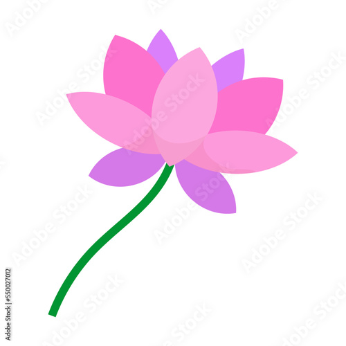 Symbol of Vietnam vector illustration. ASEAN country blooming lotus flower side view isolated on white background. Traveling, culture concept
