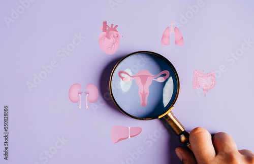 uterus female reproductive system, women health, PCOS, ovary gynecologic and cervical cancer, magnifier focus to uterus icon, Healthy feminine concept. photo