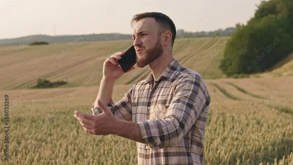 Side view of agronomist, farmer standing on field with wheat, talking emotionally on phone. Busy, hardworking man with beard, wearing plaid shirt, cultivating. Concept of agriculture. Side view of agronomist, farmer standing on field with wheat, talking emotionally on phone. Busy, hardworking man with beard, wearing plaid shirt, cultivating. Concept of agriculture.