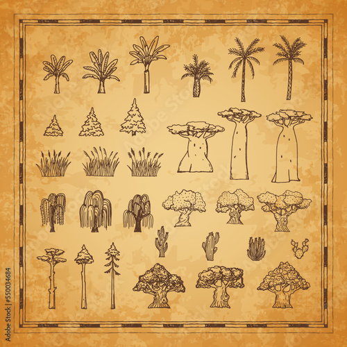 Vintage map plants and trees, palm, baobab and cactus, willow, oak, reeds and spruce in vector sketch. Pirate treasure island and Caribbean adventure map with tropical trees on grunge background
