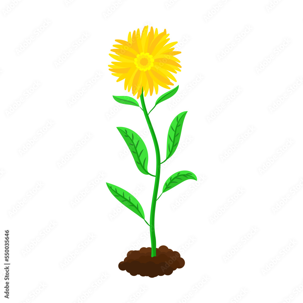 Flower Sprout Clipart