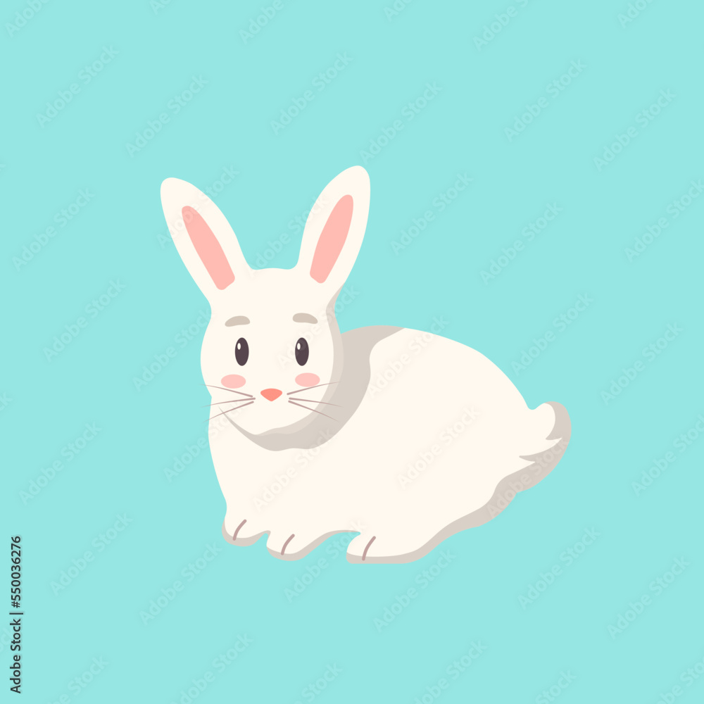 Fototapeta premium cute rabbit with blue background
