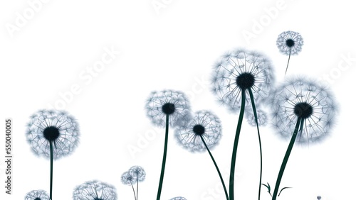 Figure  dandelions on the surface of water and watercolor splashes. Spring flower seasonal nature background.
