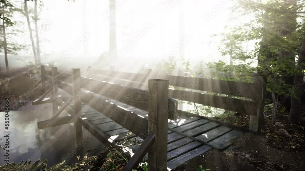 wooden steps in the forest disappeared in the thick fog wooden steps in the forest disappeared in the thick fog