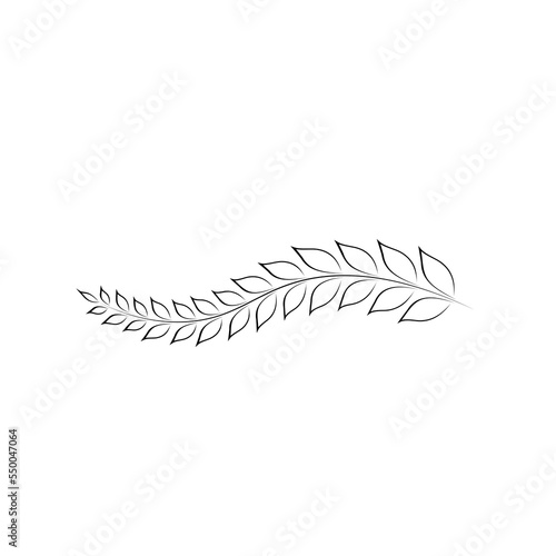 branches full of leaves hand drawn various patterns Suitable for decorating wedding cards, parties, parties, banners, logos.
