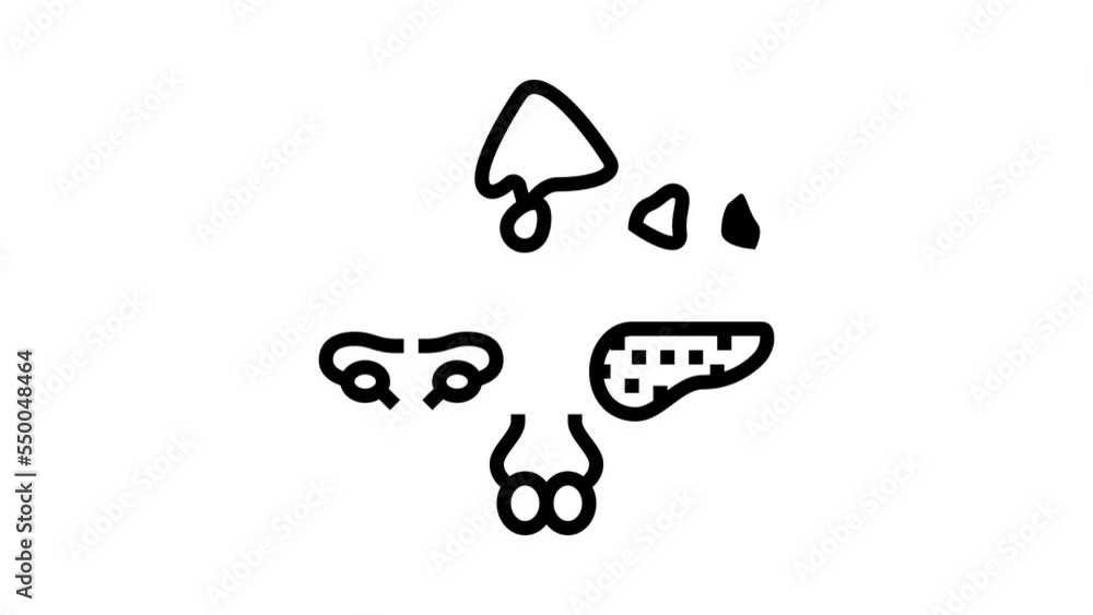 gland human organ line icon animation gland human organ line icon animation