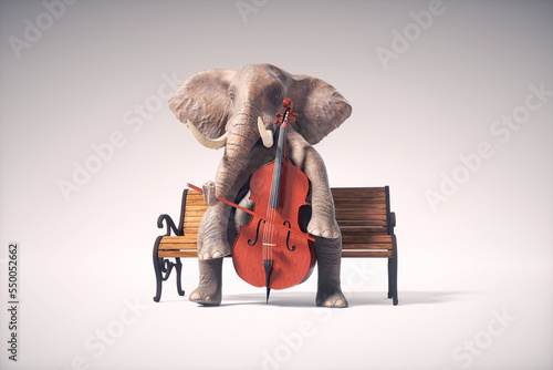 Elephant playing contrabass.