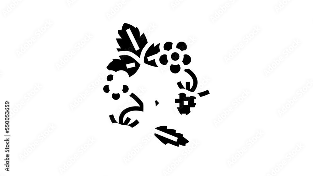 green strawberry glyph icon animation green strawberry glyph icon animation