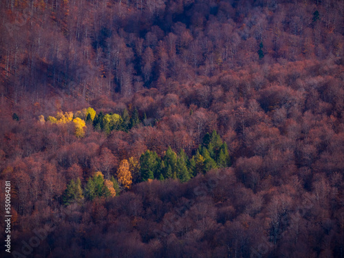 View from the trekking on the Polonina Wetli nska in Bieszczady Mountains, Bieszczady County, Poland. Europe, Podkarpackie Voivodeship, Bieszczady, Carpathians, photo