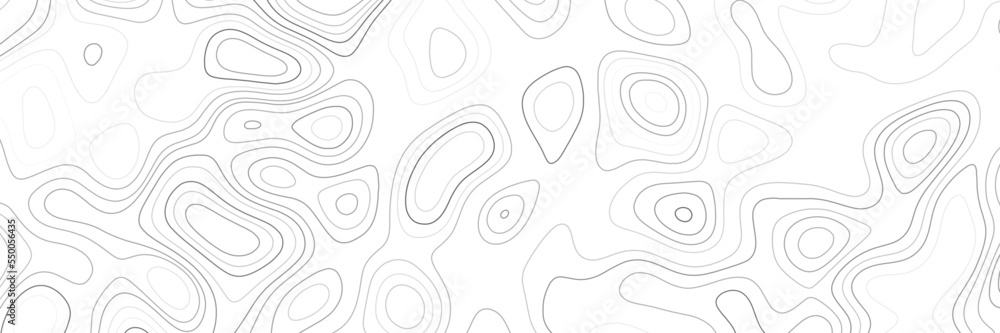 Topographic map background. Line topography map contour background, geographic grid. Abstract vector illustration. Vector abstract line