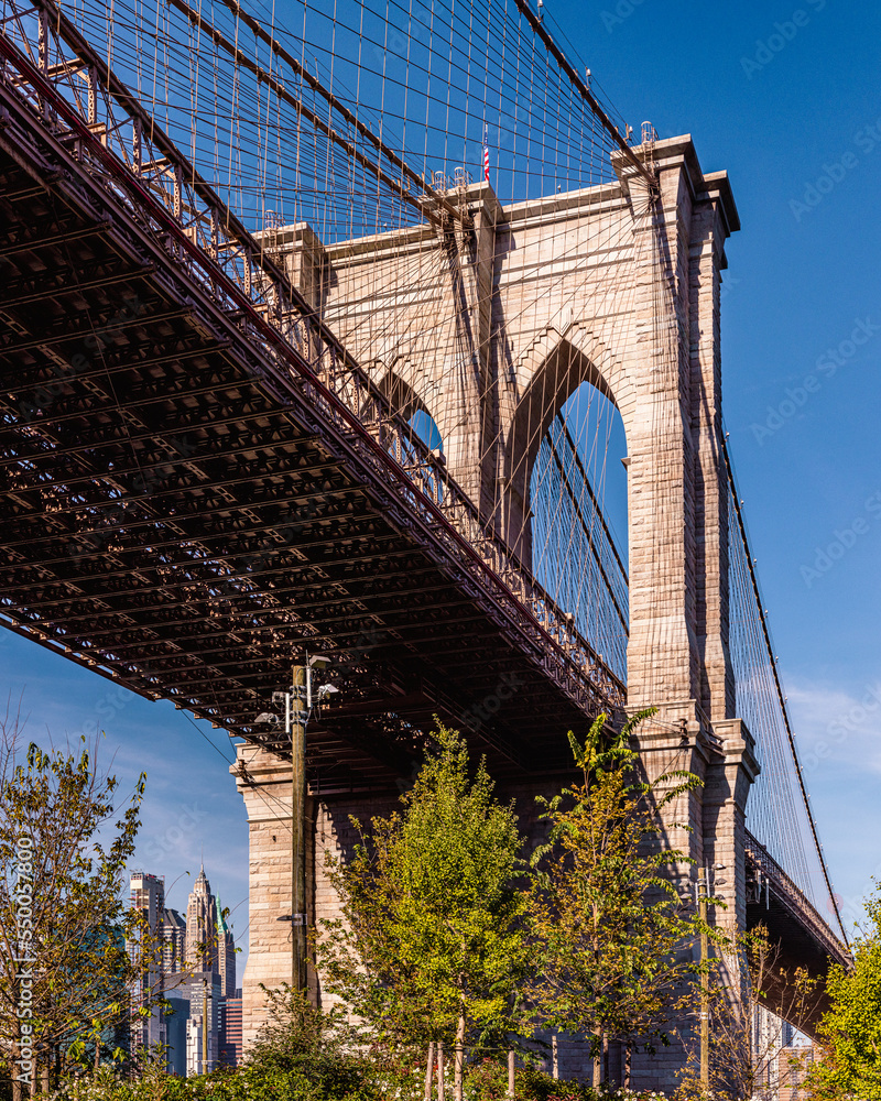 Obraz premium Under the Brooklyn Bridge
