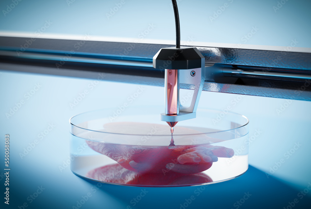 Ταπετσαρία Bio print 3d - the concept of printing organs