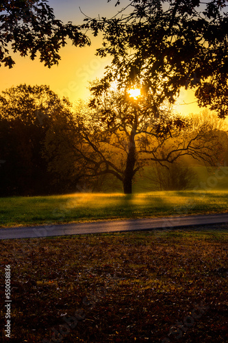 Sunrise Before Opening Hunt at Millington photo