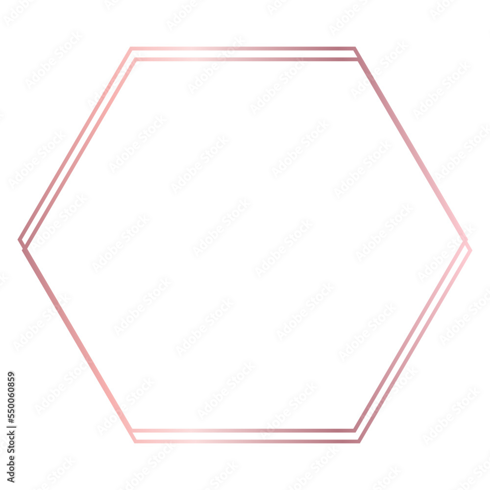Rose Gold Frame Rose Gold Frame
