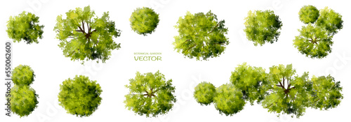 Vector watercolor tree or forest top view isolated on white background for landscape and architecture drawing,elements for environment and garden,botanical for section in spring 
