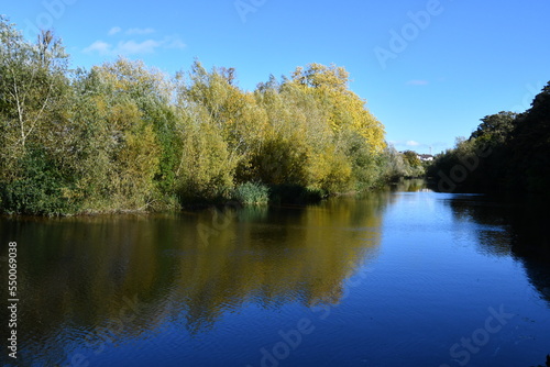 Autumn colours reflection on a river Nore  Kilkenny  Ireland