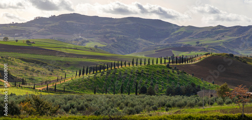 A picturesque landscape of a road with cypresses