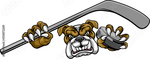 Photography Bulldog Ice Hockey Player Animal Sports Mascot