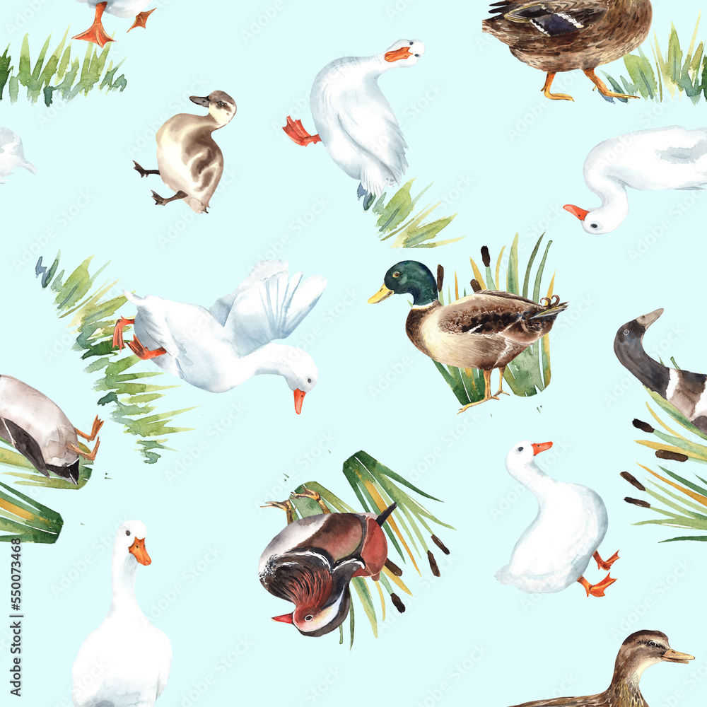Obraz premium Duck village, american pekin seamless patterns. Mandarin, mallard, duckling, animals farm, zoo. Cute birds. clipart Stock illustration. Hand painted in watercolor.