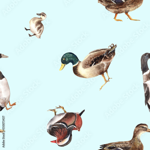 Duck village, american pekin seamless patterns. Mandarin, mallard, duckling, animals farm, zoo. Cute birds. clipart Stock illustration. Hand painted in watercolor.