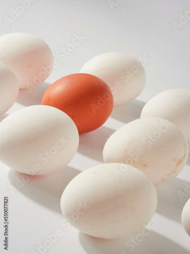 chicken eggs isolated on white background