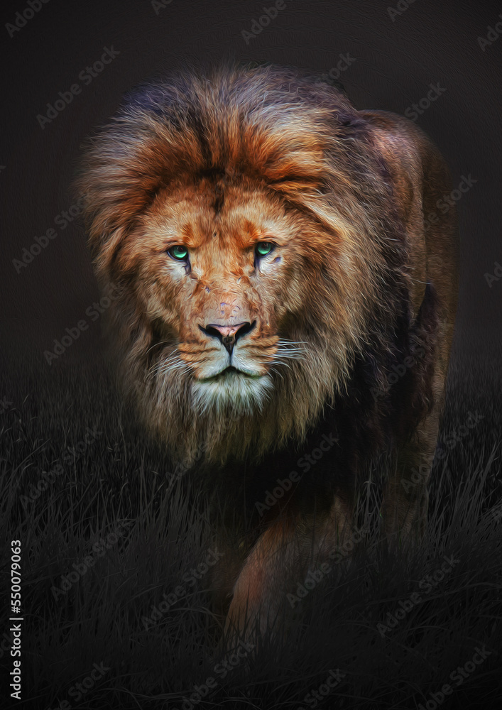 Fototapeta premium modern oil painting of king lion face on black background, artist collection of animal painting for decoration and interior, canvas art, abstract.