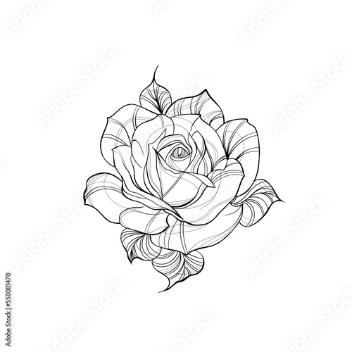 Detailed sketch of a rose flower tattoo. Decorative elements for tattoo, gree...