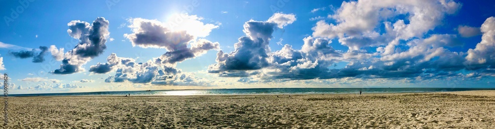 Obraz premium grass and sky