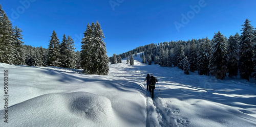 Winter Wandern im ersten Schnee auf dem Riesenplateau im Hochries Gebiet, Alpen, Chiemgau, Bayern, Deutschland