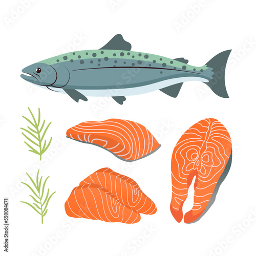 Fish and fresh salmon piece, steak with rosemary isolated on white background vector illustration