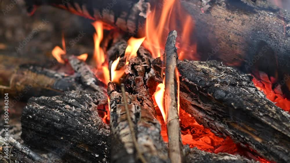 burning bonfire and bright sparks flying from glowing embers of coal burning bonfire and bright sparks flying from glowing embers of coal