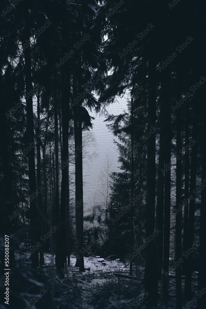 Fototapeta premium Vertikale Aufnahme von einem See fotografiert durch einen oberhalb gelegenen Wald 
