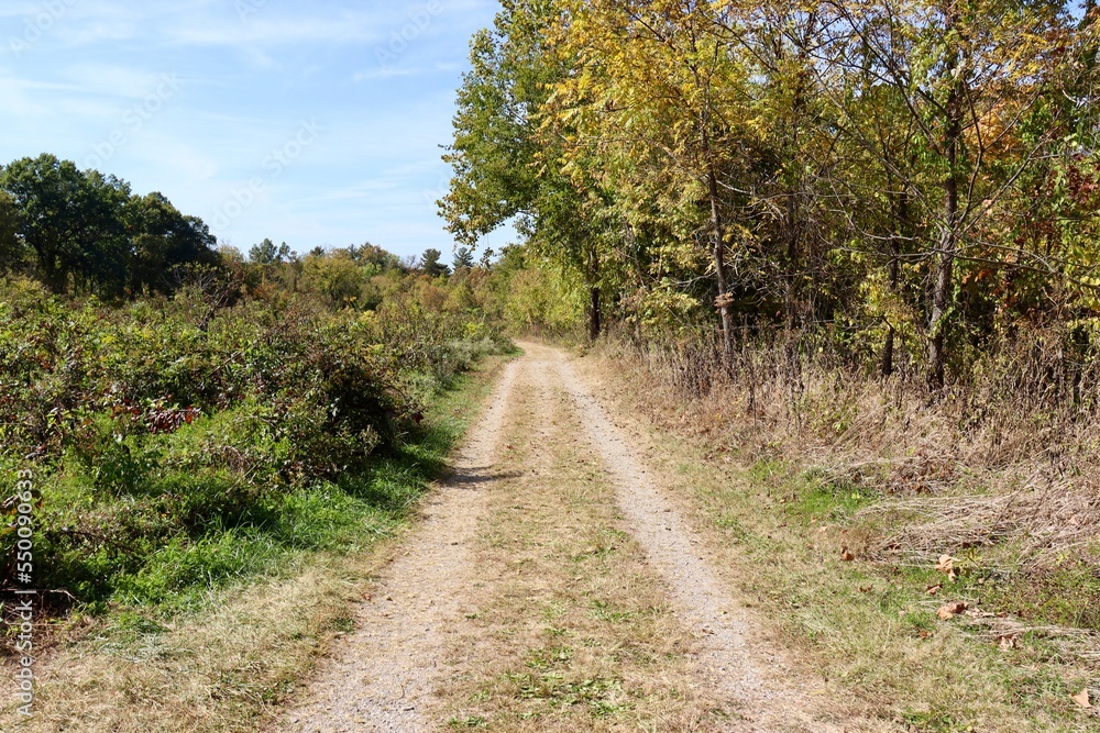 The long empty path in the countryside on a sunny day. The long empty path in the countryside on a sunny day.