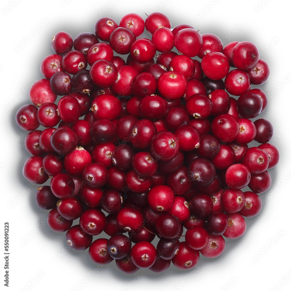 Cranberry Vaccinium oxycoccus, pile of, top view isolated png Cranberry Vaccinium oxycoccus, pile of, top view isolated png
