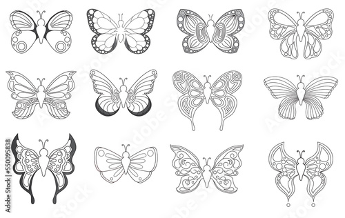 Set of butterflies on picture