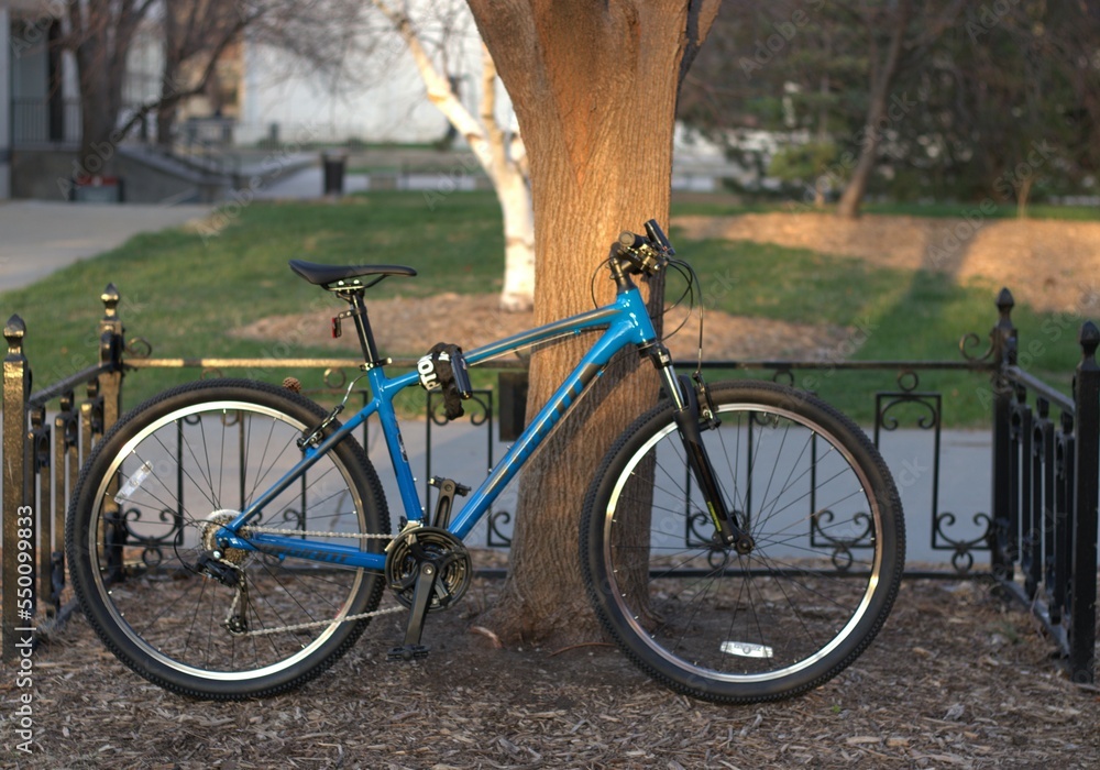 Fototapeta premium bike in the park
