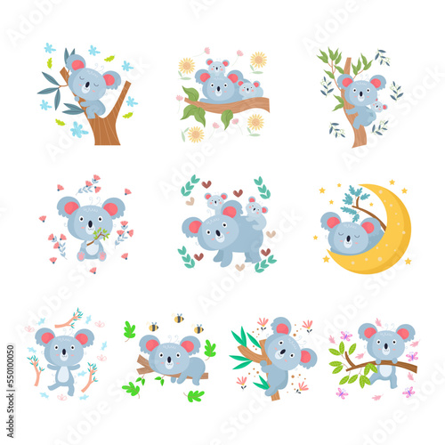 A collection of cute koala animal cartoon images suitable for birthday cards, invitations and children's clothing designs