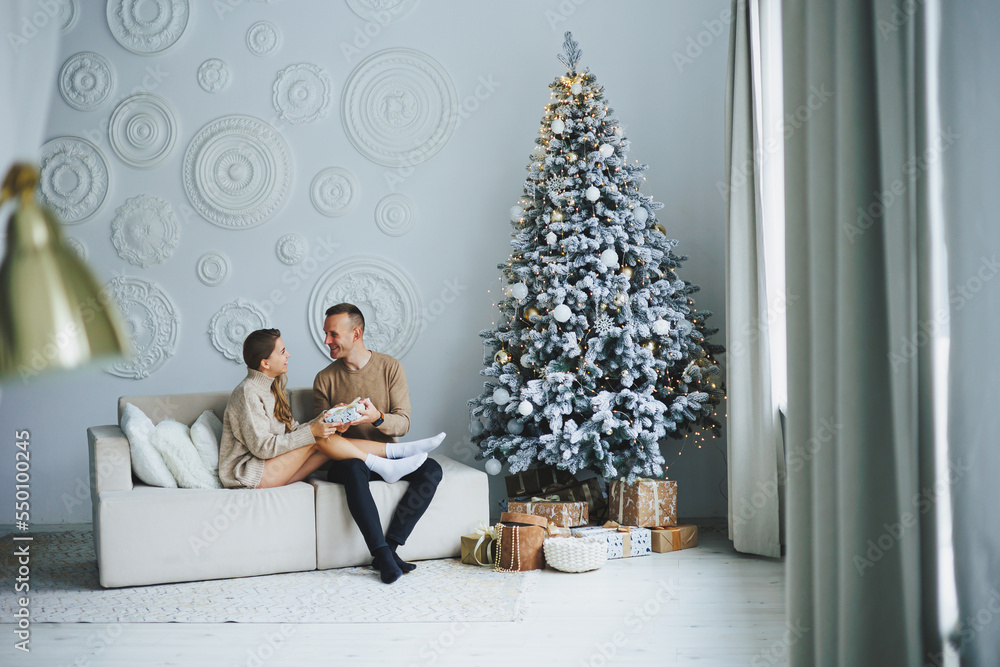 A beautiful couple embraces during a New Year's photo session. Lovers welcome the new year together. A couple in love enjoying each other on New Year's Eve. New Year and Christmas. February 14th. A beautiful couple embraces during a New Year's photo session. Lovers welcome the new year together. A couple in love enjoying each other on New Year's Eve. New Year and Christmas. February 14th.