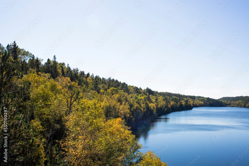 Scenic view of trees growing by lake against clear sky Scenic view of trees growing by lake against clear sky