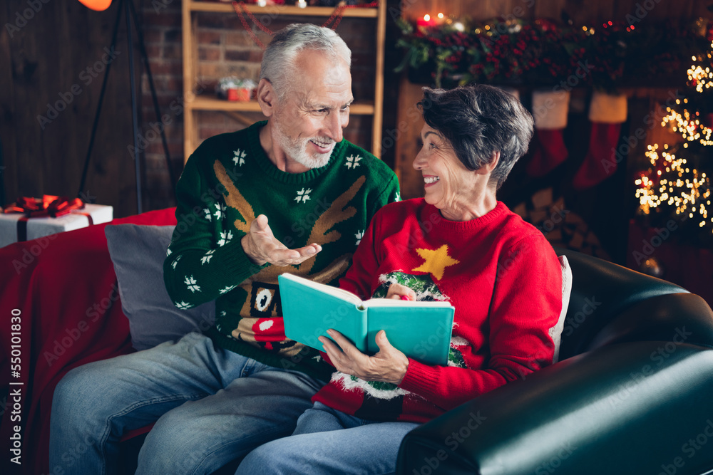 Fototapeta premium Portrait of two peaceful positive people sitting couch read book speak communicate enjoy newyear time indoors