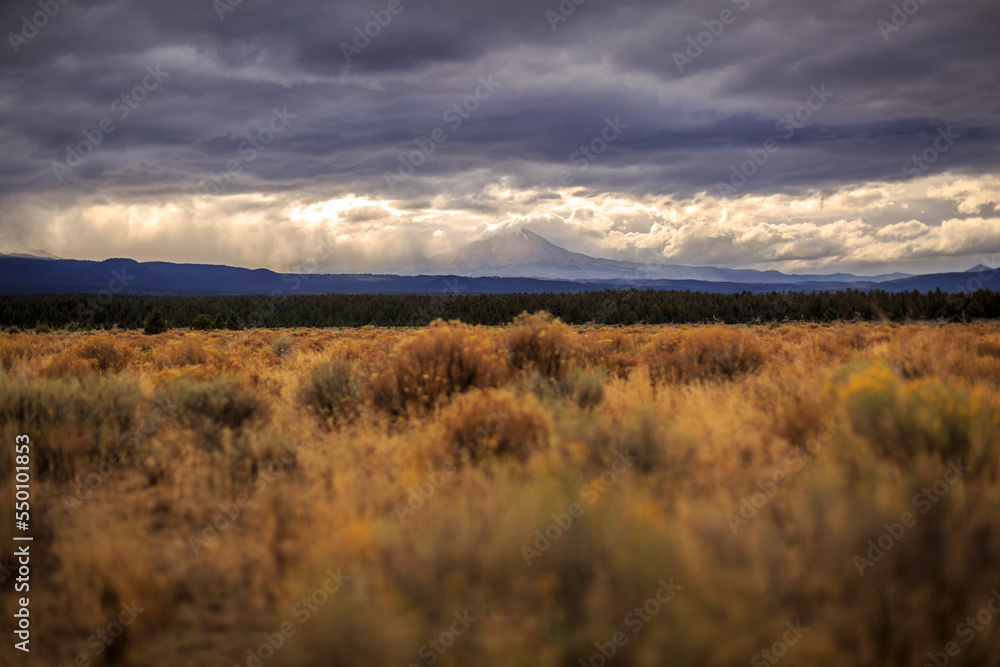 Looking across the prairie at the Three Sisters Wilderness Looking across the prairie at the Three Sisters Wilderness